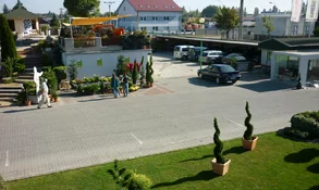 aj firma Oasis sa podielala na spolupráci